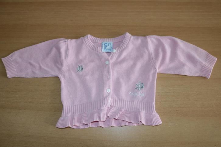 Roze Nijntje vest maat 68, Kinderen en Baby's, Babykleding | Maat 68, Zo goed als nieuw, Meisje, Truitje of Vestje, Ophalen of Verzenden