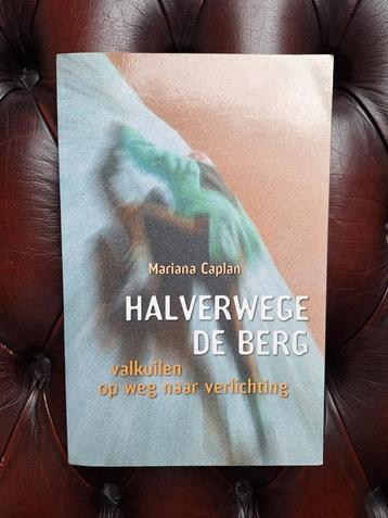 M. Caplan - Halverwege de berg