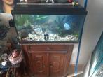 Een aquarium te koop met kast er bij 60bij40bij30cm, Dieren en Toebehoren, Vissen | Aquaria en Toebehoren, Ophalen, Gebruikt, Overige typen
