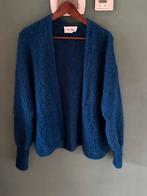 American Vintage vest, Kleding | Dames, Truien en Vesten, Maat 38/40 (M), Blauw, Ophalen of Verzenden, Zo goed als nieuw