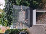Vogelkooi Teab, Dieren en Toebehoren, Ophalen, Gebruikt, Kooi-accessoires