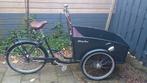 Johnny Loco Cargo Bakfiets – niet elektrisch, Ophalen, Gebruikt, 2 kinderen, Johnny Loco