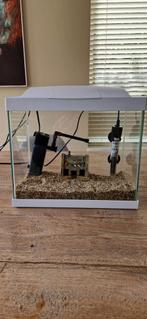 Superfish 20liter startersaquarium met toebehoren, Dieren en Toebehoren, Vissen | Aquaria en Toebehoren, Ophalen of Verzenden