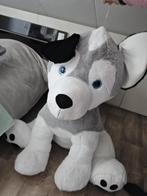 Mega grote knuffel hond!, Kinderen en Baby's, Speelgoed | Knuffels en Pluche, Ophalen, Zo goed als nieuw, Hond