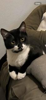 Daisy, Dieren en Toebehoren, 0 tot 2 jaar