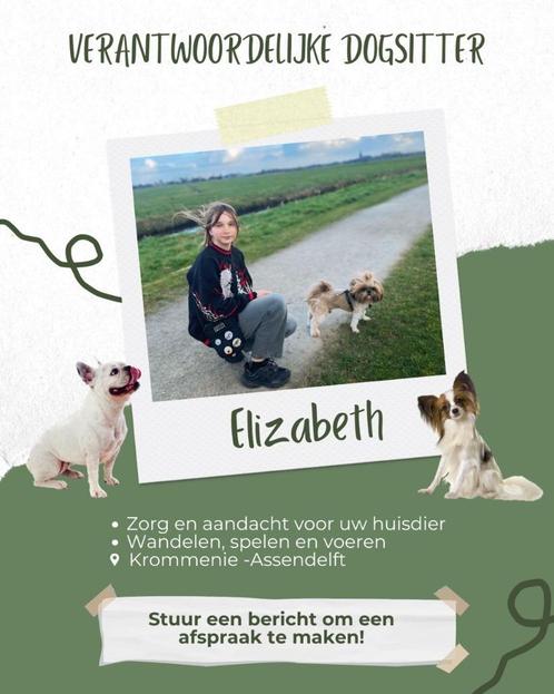 Hondenoppas, Diensten en Vakmensen, Dieren | Honden | Verzorging, Oppas en Les