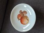 Oud fruitservies, Antiek en Kunst, Antiek | Servies los, Ophalen of Verzenden