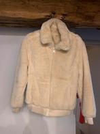 Bomberjack jasje Bont Teddy Fluffy, Kleding | Dames, Ophalen of Verzenden, Zo goed als nieuw, Maat 38/40 (M), Bruin