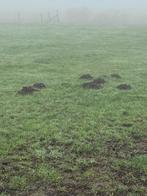 Mollenbestrijding in uw tuin, Tuin en Terras, Ophalen, Nieuw, Ongediertebestrijding