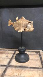 Koffervis op standaard, Ophalen of Verzenden, Zo goed als nieuw, Beeldje of Figuurtje