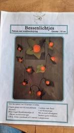Patroon Bessenlichtjes, Hobby en Vrije tijd, Vilt, Ophalen of Verzenden, Zo goed als nieuw, Boek of Patroon