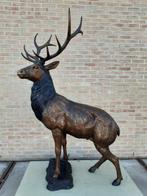 BRONZEN GROOT HERT 2650 IPV 3850 ZEER LAGE PRIJS AANTOONBAAR, Ophalen of Verzenden, Nieuw, Overige materialen, Dierenbeeld