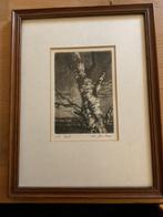 Originele ets van Jan Bom, Ophalen of Verzenden