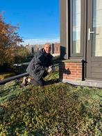 Sedum Direct van Kwekerij - Trays & Matten, Ophalen of Verzenden, Nieuw