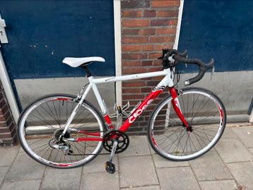 Racefiets 160-175 CM beschikbaar voor biedingen