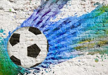 19 Voetbal Vlies Fotobehang 350x250cm in 3 maten Nieuw 1000+ beschikbaar voor biedingen