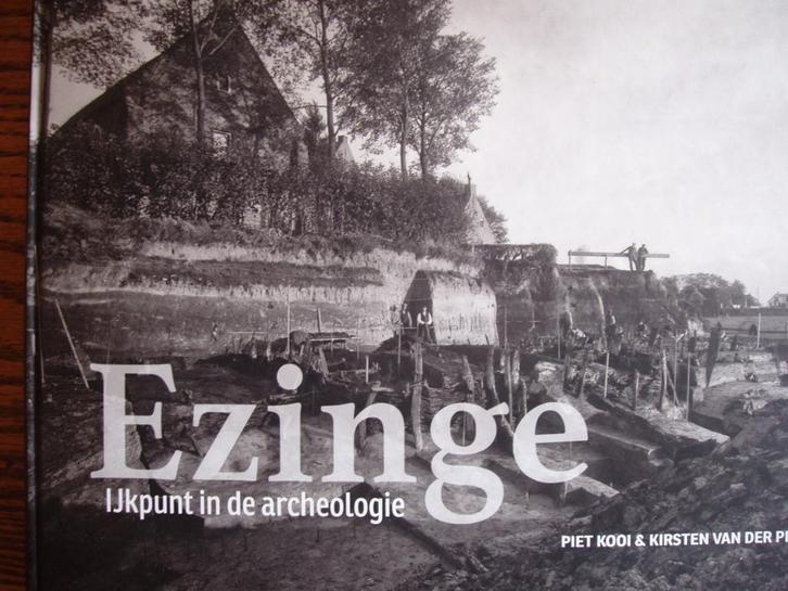 Ezinge: ijkpunt in de archeologie. P Kooi & K v/der Ploeg, Boeken, Geschiedenis | Stad en Regio, Zo goed als nieuw, 20e eeuw of later