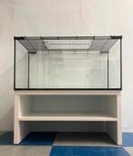 Hamster kooi + kast en speelgoed, Dieren en Toebehoren, Ophalen, Zo goed als nieuw