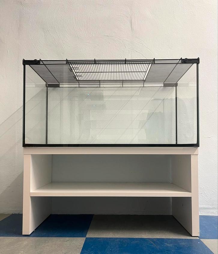 Hamster kooi + kast en speelgoed, Dieren en Toebehoren, Reptielen en Amfibieën | Toebehoren, Zo goed als nieuw, Ophalen