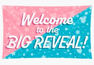Groot uitgebreid gender reveal pakket party feest baby  beschikbaar voor biedingen