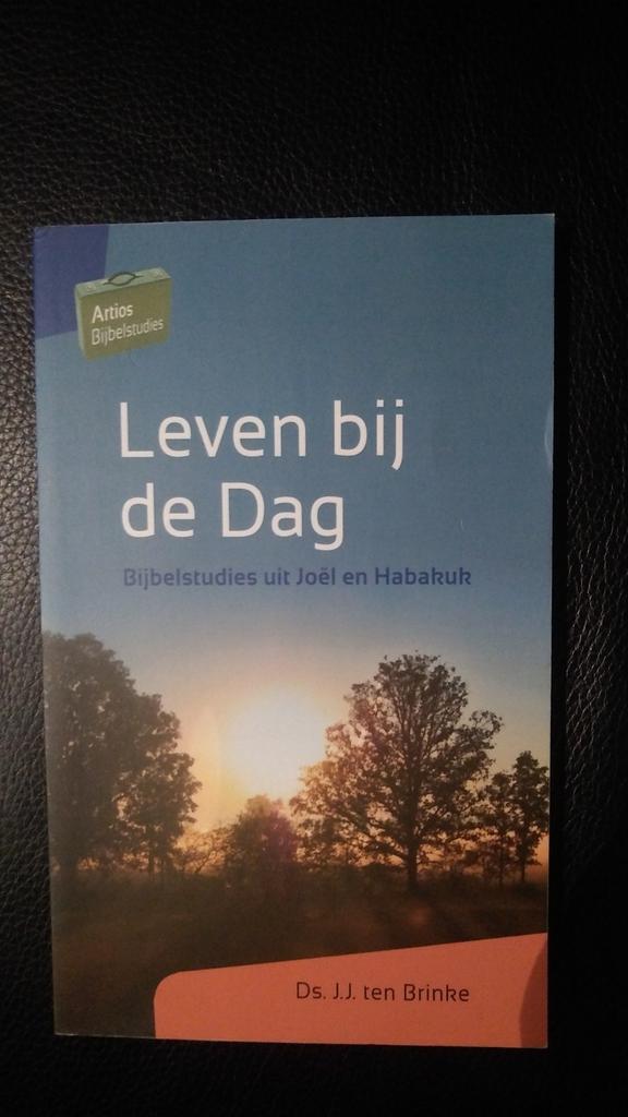 J.J. ten Brinke - Leven bij de dag, Boeken, Godsdienst en Theologie, Zo goed als nieuw, Ophalen of Verzenden