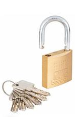 Burg Wächter 450 50 6 SB – Duitse Topkwaliteit Hangslot 
5, Ophalen of Verzenden, Nieuw, Overige materialen, Overige typen