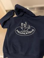 Manege Hallinckveld trui, Kinderen en Baby's, Kinderkleding | Maat 146, Ophalen, Gebruikt, Jongen of Meisje, Trui of Vest