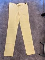 Pantalone Torino, mt 48 lemon pt01, Maat 48/50 (M), Geel, Pantalone Torino, Nieuw