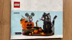 Lego 40570 kat en muis, Ophalen of Verzenden, Zo goed als nieuw, Complete set, Lego