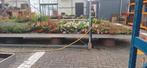 Plantentafels aluminium  6 meter lang., Tuin en Terras, Ophalen, Steen, Minder dan 30 cm