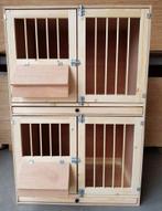 Postduiven, Dieren en Toebehoren, Vogels | Duiven, Meerdere dieren, Postduif