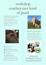 Workshop coachen met hond of paard, Persoonlijke ontwikkeling