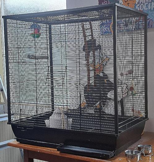 Vogelkooi, Dieren en Toebehoren, Vogels | Hokken en Kooien, Zo goed als nieuw, Vogelkooi, Metaal, Ophalen
