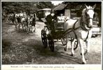 Vlodrop - Paard en Wagen - Grens - Foto - 1950 - Roermond, Verzamelen, Ansichtkaarten | Nederland, Ophalen of Verzenden, 1940 tot 1960