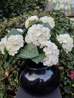 10  zijde bollen  hortensia  s. Nieuw., Huis en Inrichting, Woonaccessoires | Kunstplanten en Kunstbloemen, Ophalen, Nieuw