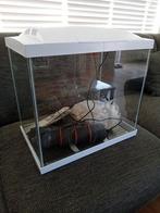 Aquarium met pomp, Ophalen, Gebruikt, Leeg aquarium