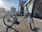 Flyer T12 Cruiser XL Elektrische Herenfiets - Framemaat 60, 59 cm of meer, Ophalen, Gebruikt, Overige merken