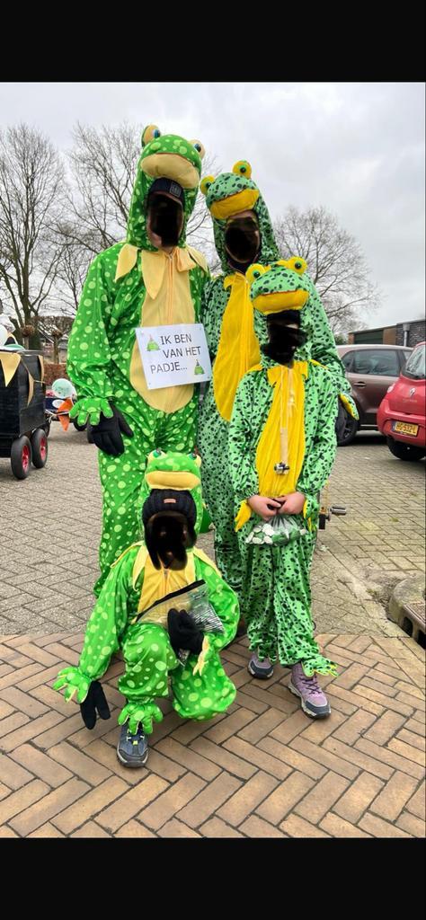 Kikker Carnavalspak, Kleding | Dames, Carnavalskleding en Feestkleding, Zo goed als nieuw, Kleding, Carnaval, Maat 38/40 (M), Ophalen of Verzenden
