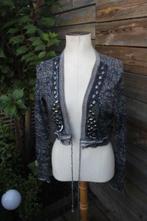 Vest blauw/ grijs Didi mt 1 (L) Vaste prijs AANBIEDING, Kleding | Dames, Blauw, Maat 42/44 (L), Didi, Ophalen of Verzenden