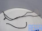 RVS remleidingen voor Honda CB 900 F 2002 - 2007 CB900 CB900, Motoren, Onderdelen | Honda, Gebruikt, Ophalen of Verzenden, Rivium Boulevard 201-234, 2909 LK Capelle aan den IJssel