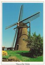 Nieuwvliet, Korenmolen, Beltmolen, Verzamelen, Ansichtkaarten | Nederland, Ophalen of Verzenden, 1980 tot heden, Ongelopen, Zeeland