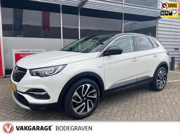 Opel Grandland X 1.2 Turbo Business Executive / camera beschikbaar voor biedingen