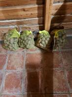 100 kg onbespoten alouette aardappel te koop. 4, Ophalen