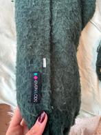 Groene dikke sjaal van de hema, Ophalen of Verzenden, Zo goed als nieuw, Maat 46/48 (XL) of groter, Sjaal