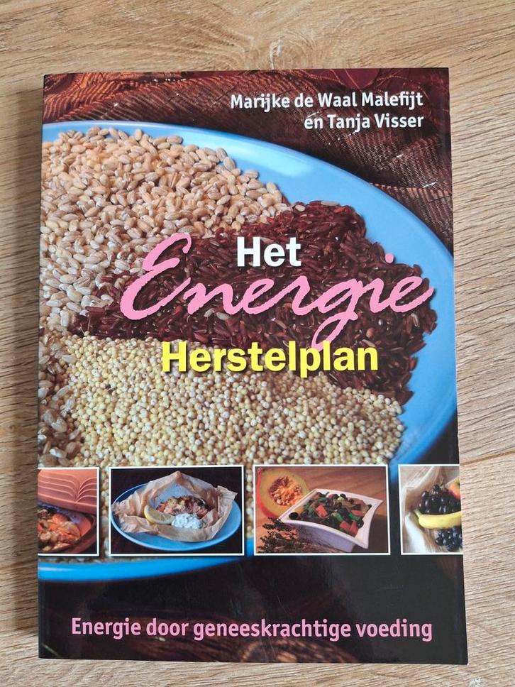 T. Visser - Het Energie Herstelplan, Boeken, Kookboeken, Zo goed als nieuw, Ophalen of Verzenden