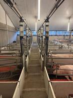 Kraamhokken [720], Dieren en Toebehoren, Boekhorst Trading, Info@boekhorsttrading.com, Singel 16, Horssen