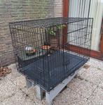 Bench te koop met dubbele deuren 103 x 70 x 75, Dieren en Toebehoren, Ophalen, Zo goed als nieuw