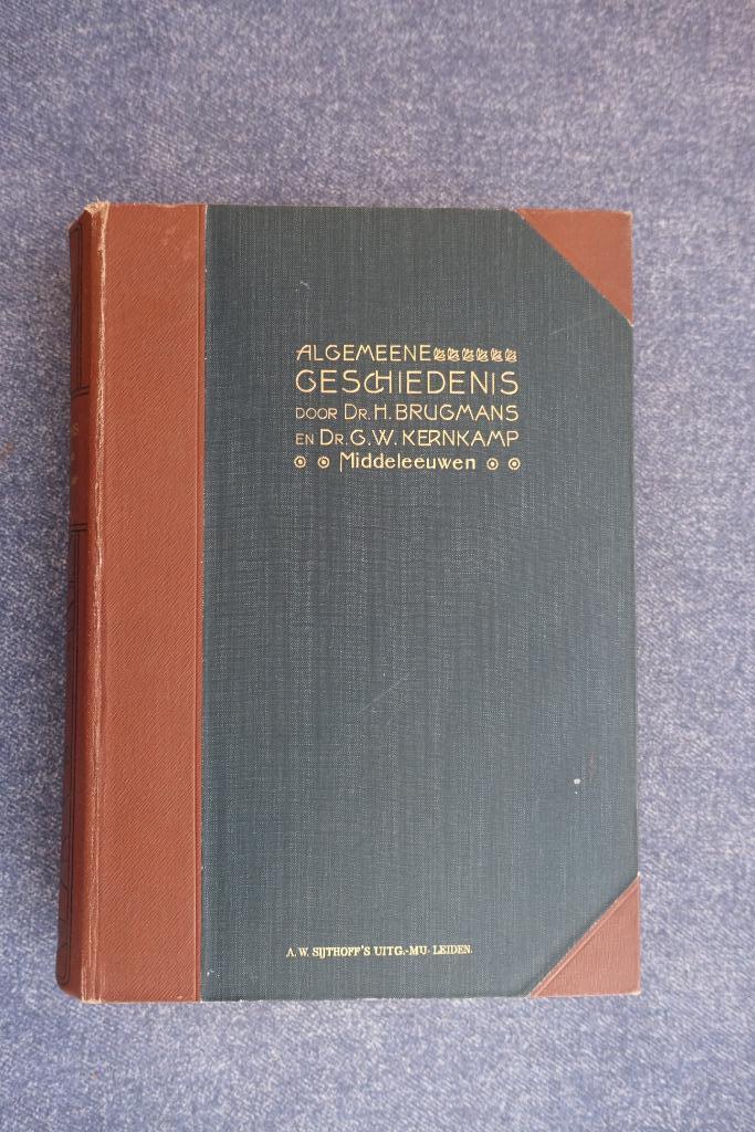H. Brugmans. De Middeleeuwen, Boeken, Geschiedenis | Wereld, Gelezen, Ophalen of Verzenden