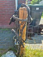 Te koop: 2 hoofdstellen, Ophalen of Verzenden, Gebruikt, Overige soorten