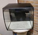 Fluval 60L, Ophalen of Verzenden, Zo goed als nieuw